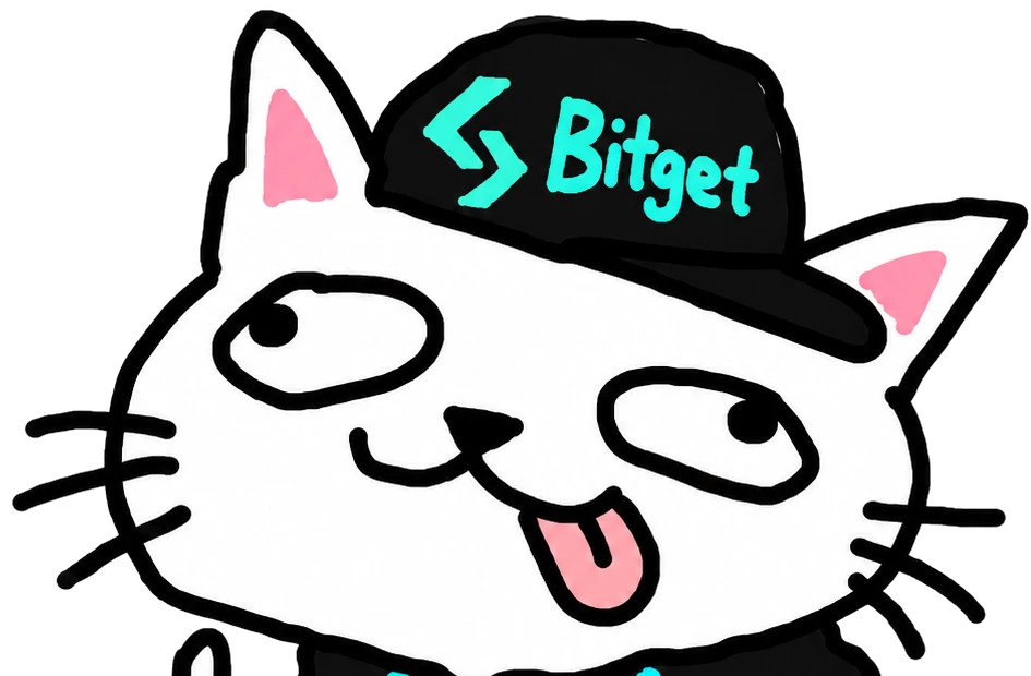 the face of someone who has never once been told no by a backend